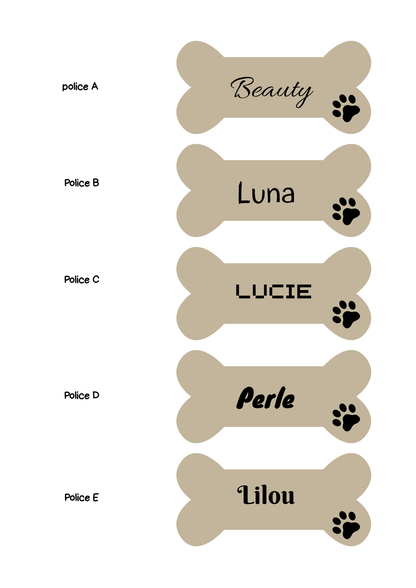 Médaille personnalisée pour chien et chat - Gravure laser haute précision